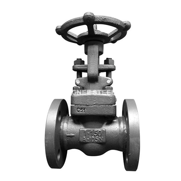 Valve de globe forgée à bride